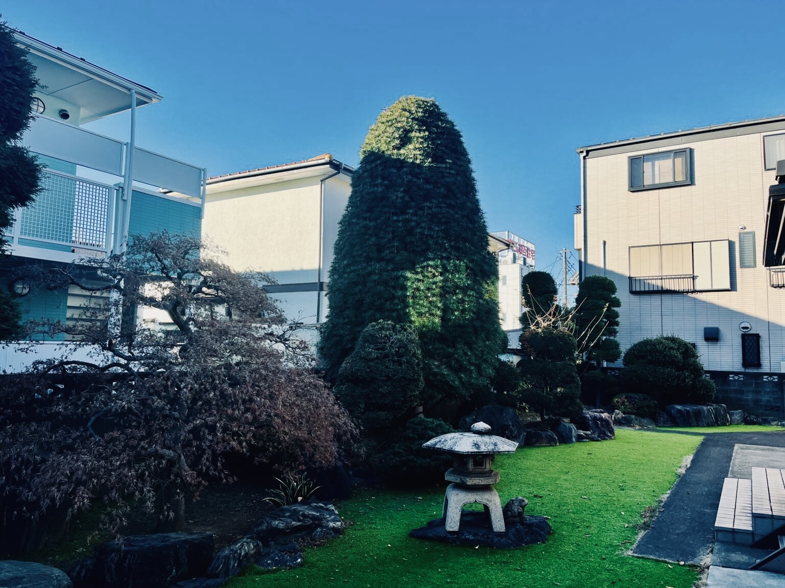 越谷市　剪定前