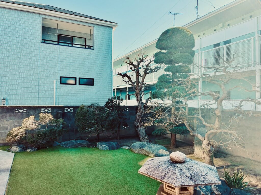 ザクロ　チャボヒバ
