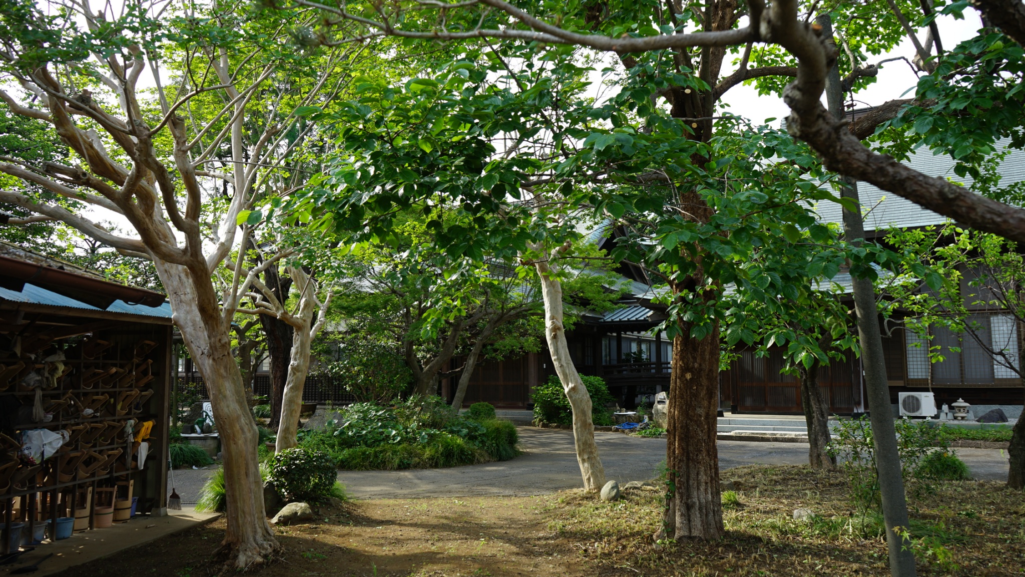 お寺 お庭