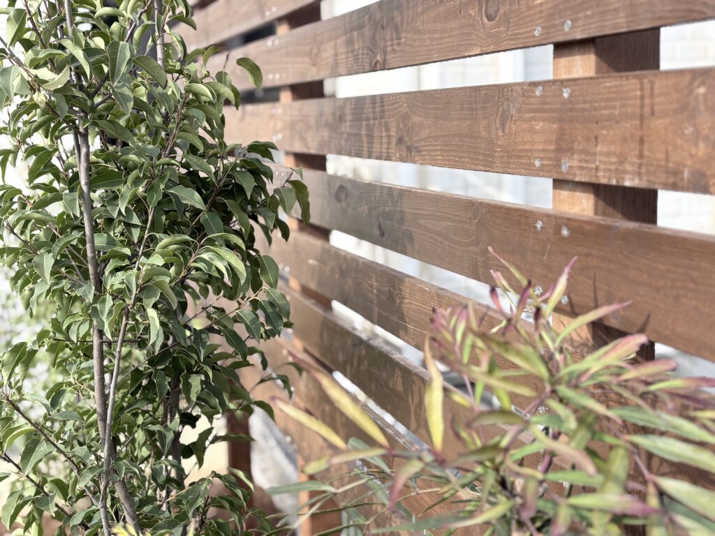 ウッドフェンス/ソヨゴ