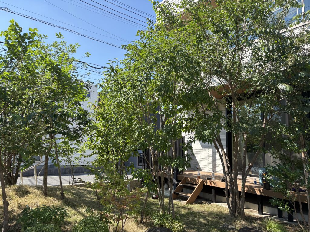 流山市 おおたかの森 雑木の庭 Y様邸