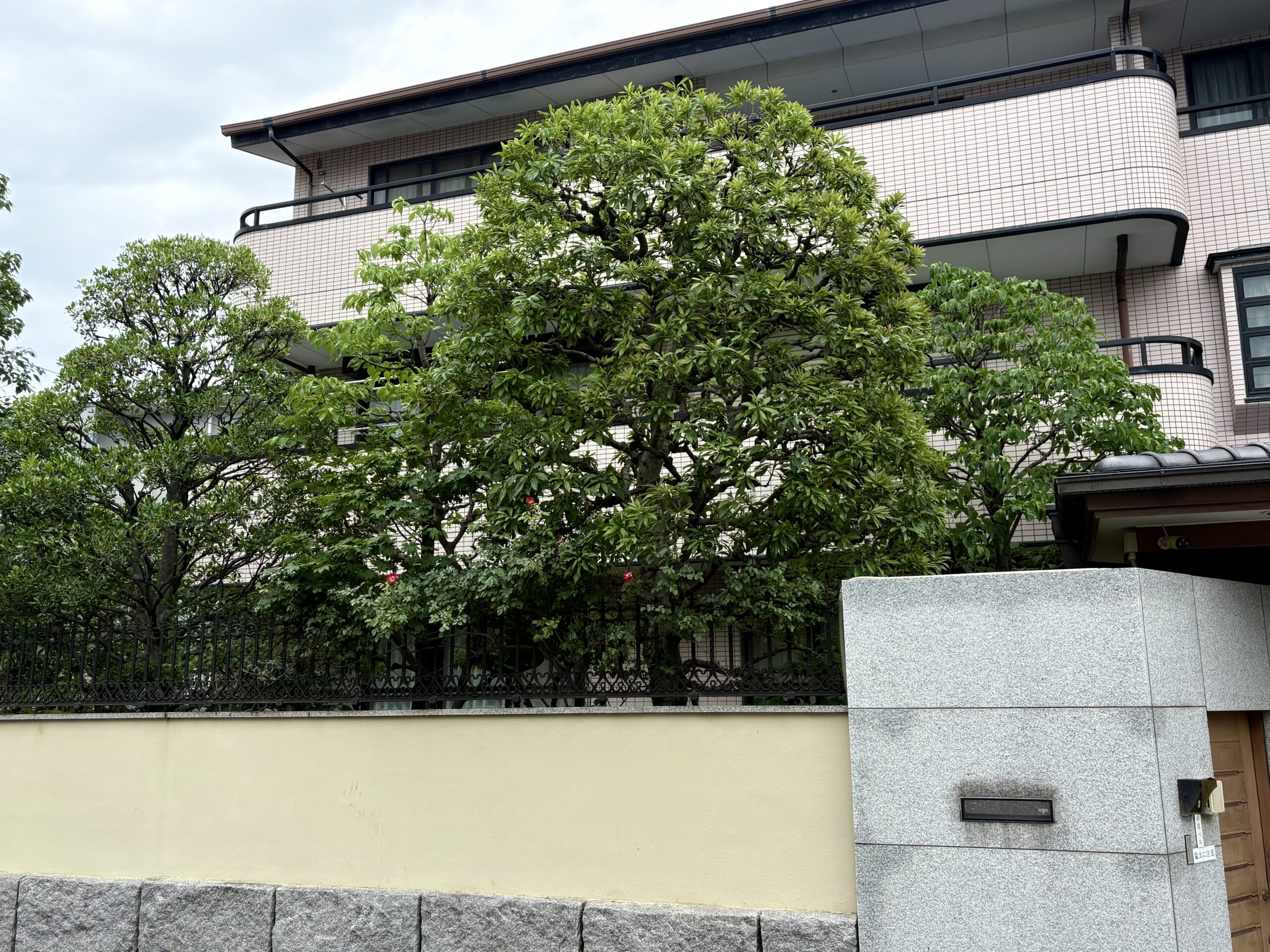 年間管理２