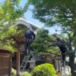 植木屋-小晴